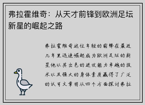 弗拉霍维奇：从天才前锋到欧洲足坛新星的崛起之路